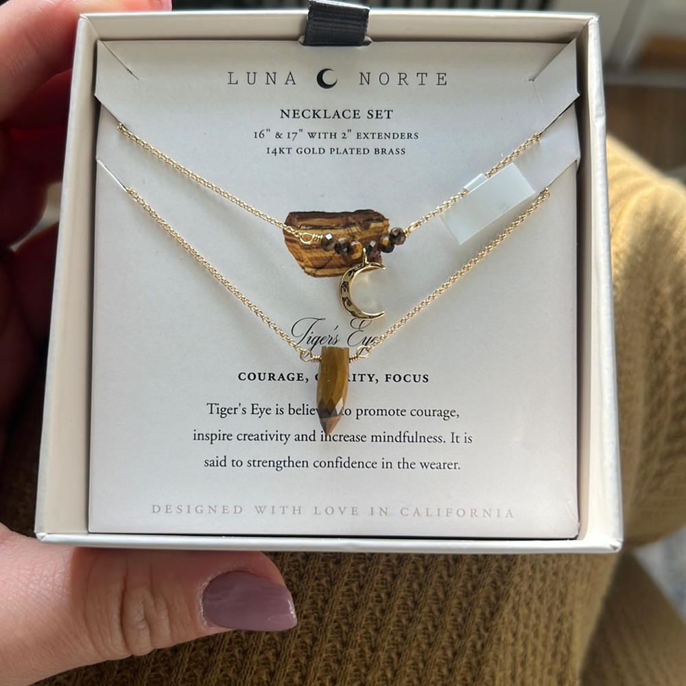 🌙Luna Norte Tiger’s Eye Necklace Set🌙